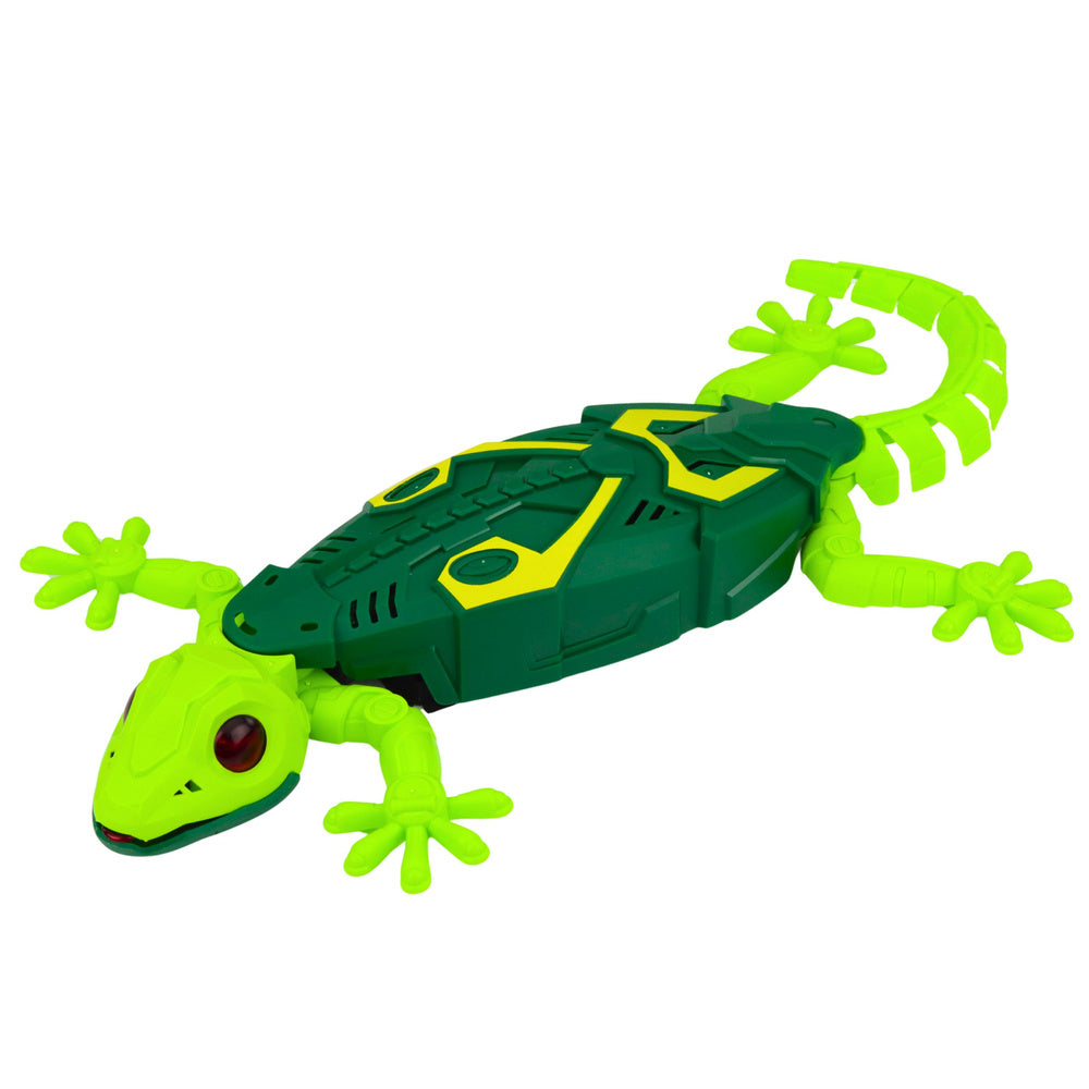 GEKON ZDALNIE STEROWANY NA PILOTA CHODZĄCY PO ŚCIANACH